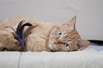 20120627-IMG_3935.jpg