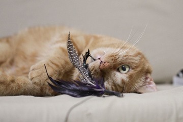20120627-IMG_3938.jpg
