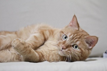 20120627-IMG_3940.jpg