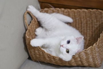 20120627-IMG_3846.jpg