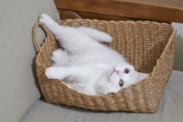 20120627-IMG_3851.jpg
