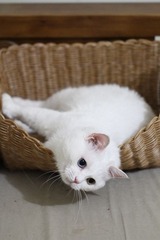 20120627-IMG_3889.jpg