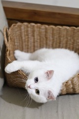 20120627-IMG_3892.jpg