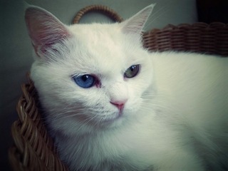 20120715-R0011983.JPG