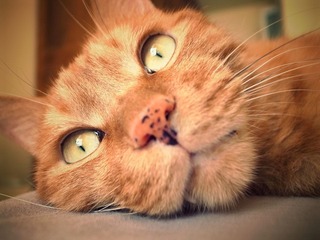 20120715-R0011987.JPG