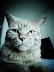 20120715-R0012000.JPG