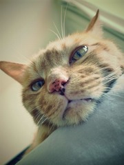 20120715-R0012006.JPG