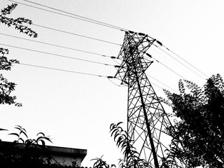 20120821-R0012720.JPG