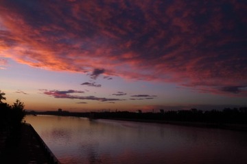 _0015871.JPG