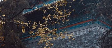 224221