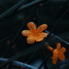 2012409