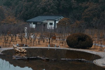 2012428