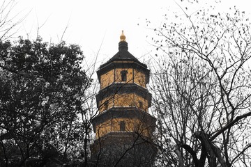 2012412