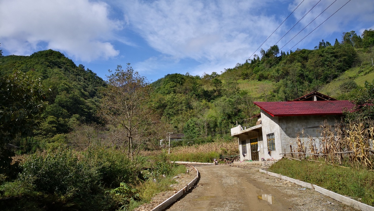 偏远山区村村通公路已基本实现