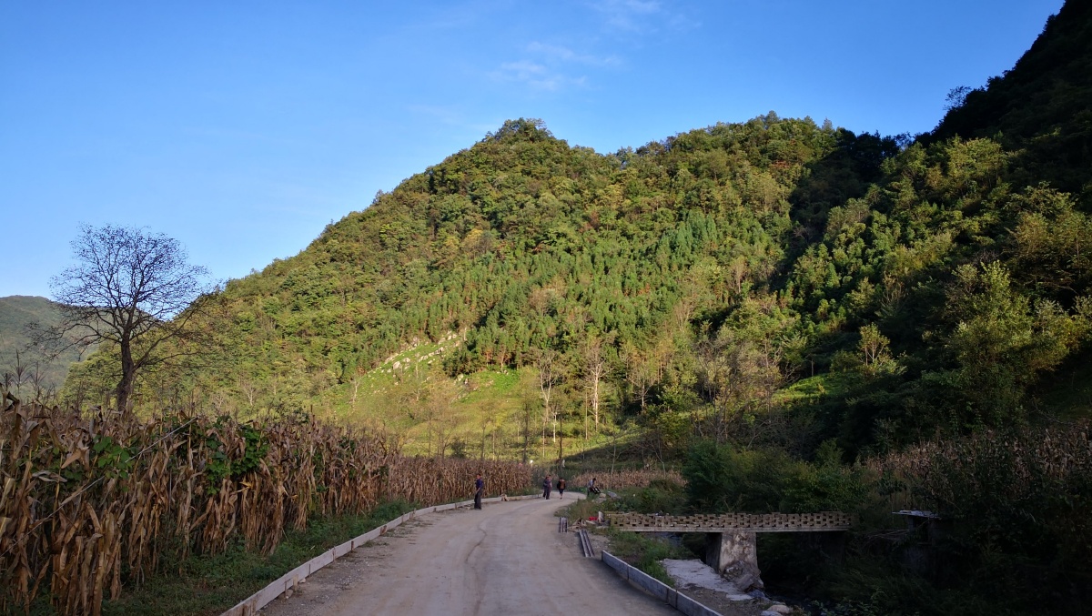 偏远山区村村通公路已基本实现