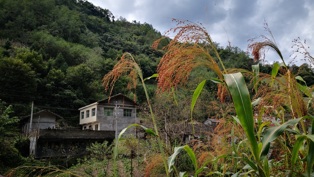 偏远山区村村通公路已基本实现