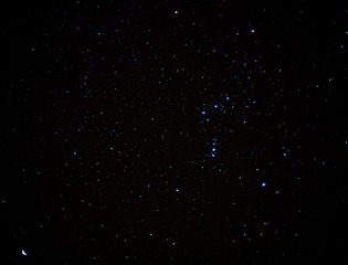 L1000398.jpg
