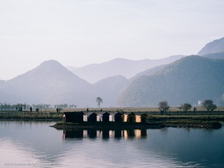 715361