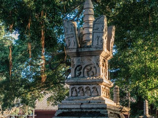 1594557