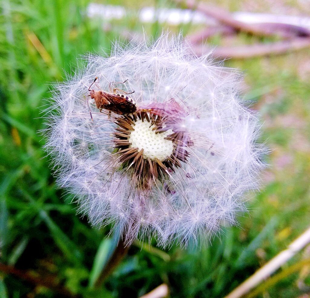 每一次遇见，都会停下来留点什么。。。
