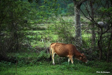 IMG_9875.jpg