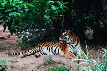 IMG_0176.jpg