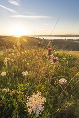 20160716-IMG_4268
