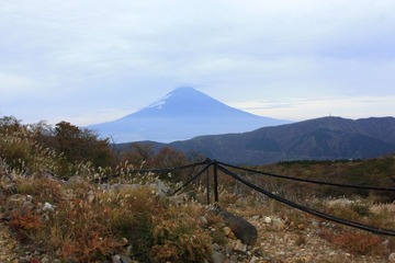 _MG_2652.JPG
