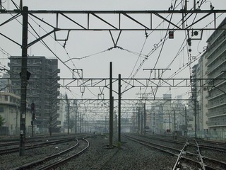 _6190304.JPG
