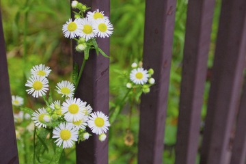 _6190320.JPG