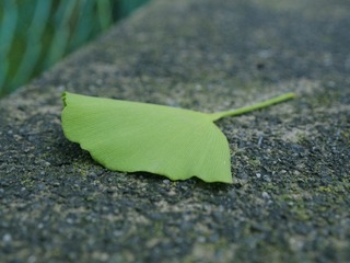 _6190325.JPG