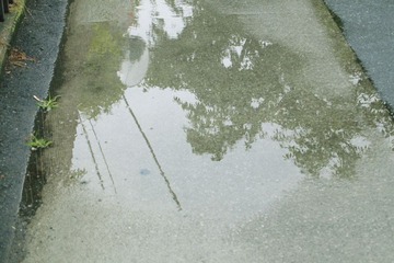 _6190318.JPG