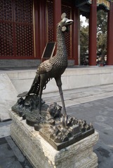 龙凤之凤