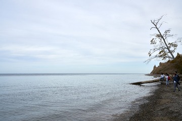 _DSC0695