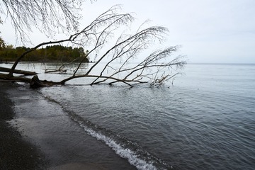 _DSC0726