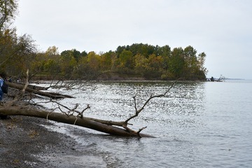 _DSC0718