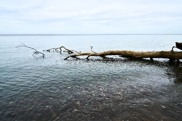 _DSC0741 1