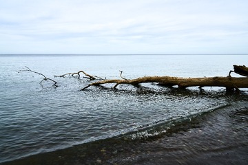 _DSC0739