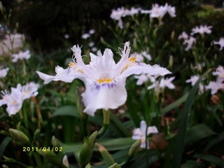 ALIM0120