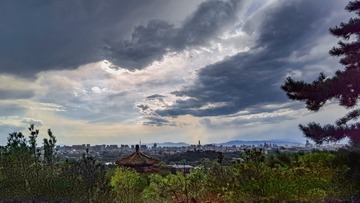 ALIM0130