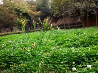 ALIM0159