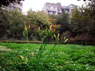 ALIM0162