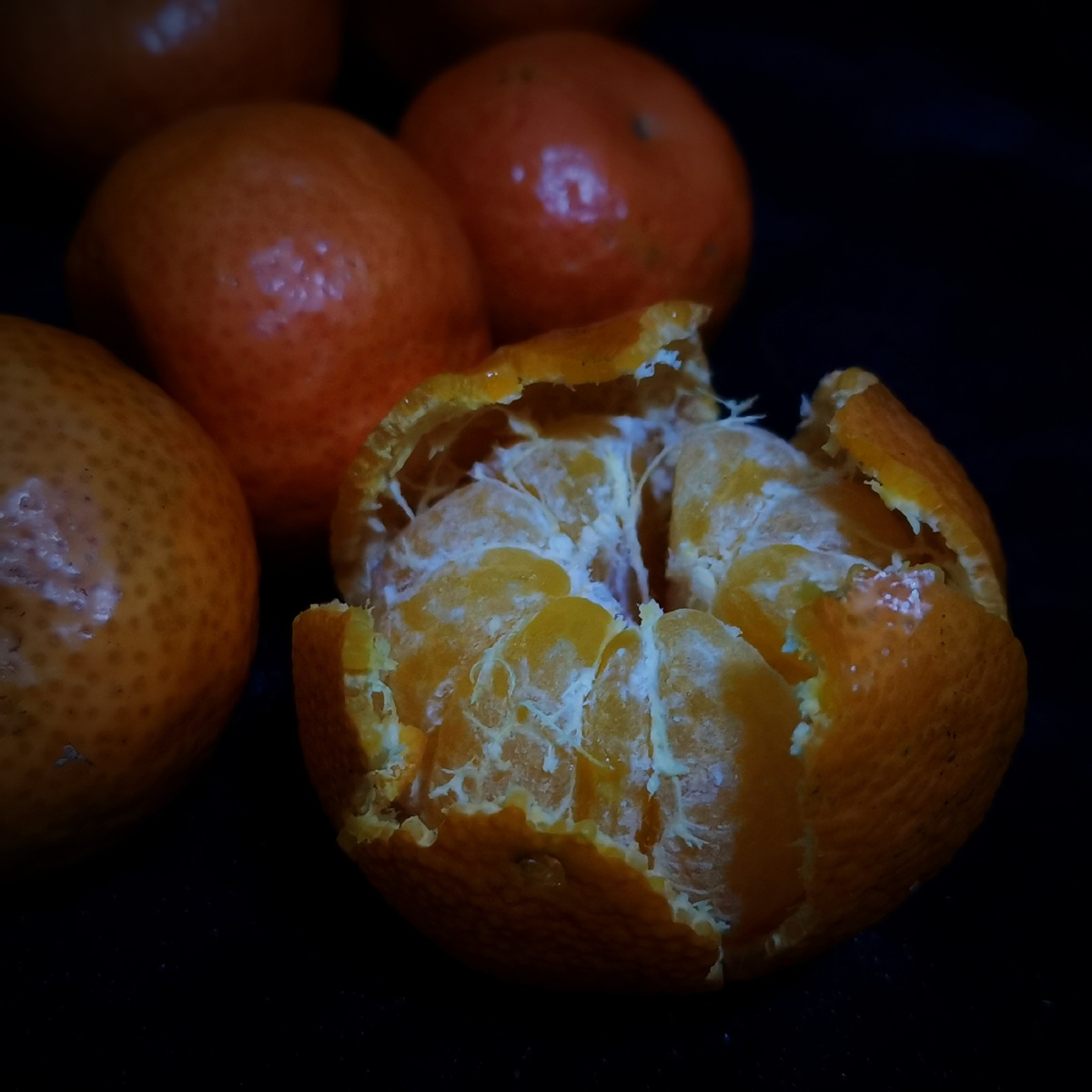 hey 橘子橘子 orange