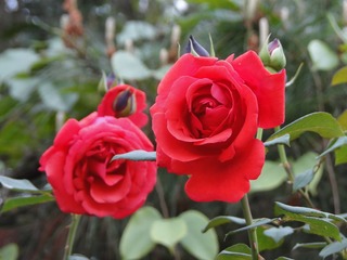 F28D4637-CF30-4F2C-9F53-80BAEA216AC0/L0/001