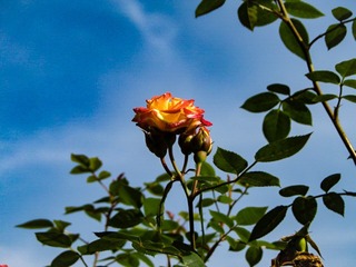 9C044816-B10A-457C-82F6-0F1337280216/L0/001