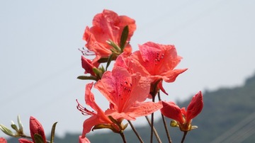 8D57F442-FC2B-42EB-BDAF-18CDF7B3ADF4/L0/001
