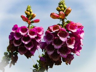 64D26D16-2F61-42DC-8381-E3C84ADBDC5B/L0/001