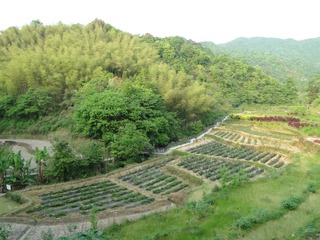A35D09AA-FCEF-473A-925A-4631F43985F7/L0/001