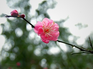 AF289A09-6C10-41D1-AD29-F6D3215DE8AE/L0/001