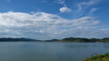 213A9A12-ED93-4440-B541-1C68A35544AB/L0/001